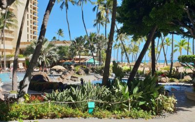 Experience the Ultimate Family Getaway at D-Resort
