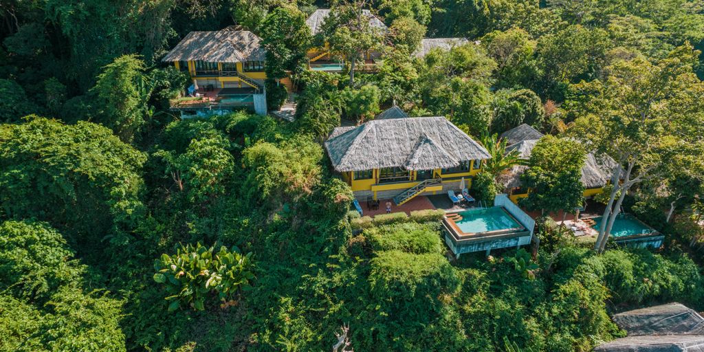 A bird's eye view of a tropical resort surrounded by trees